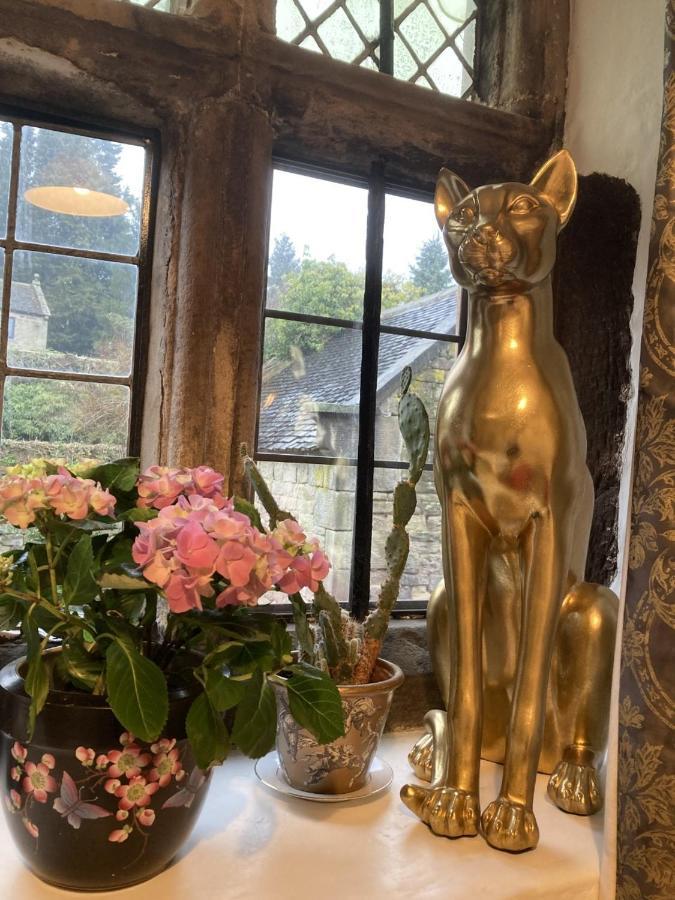 Riber Hall Manor มัทล็อก ภายนอก รูปภาพ